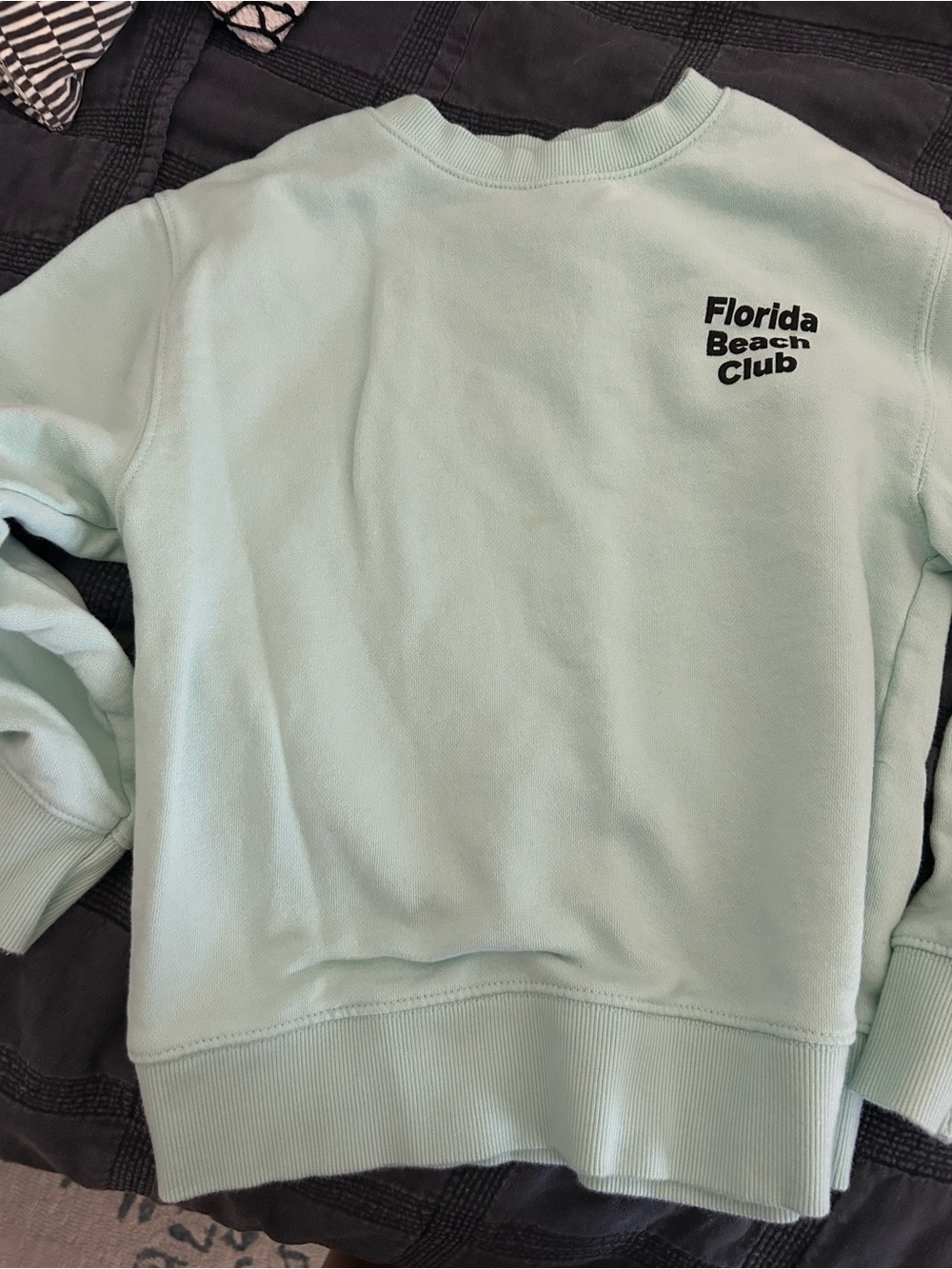 Zara Florida Beach Club Crewneck Sweatshirt - Mint